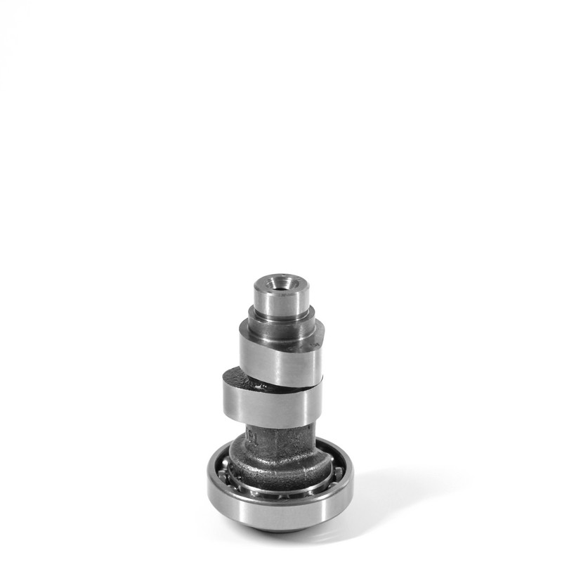 Shogun125-RR 스즈키