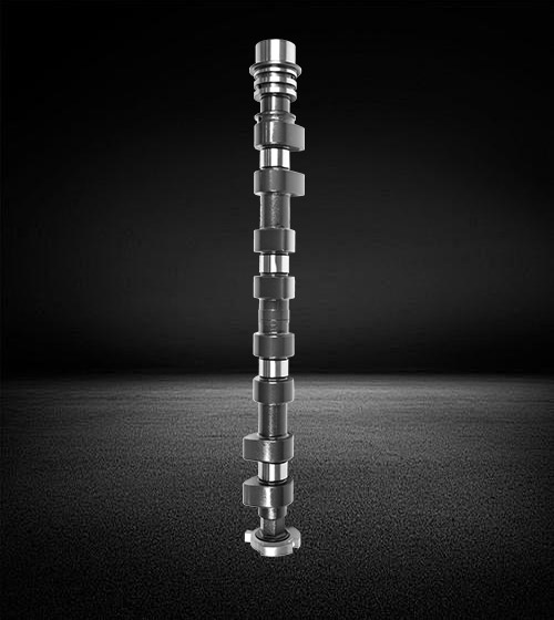 10060082030000 오토 비치 Camshaft